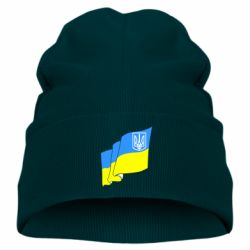 Детская шапка Флаг Украины с Гербом - PrintSalon