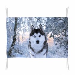 Прапор Winter Husky - PrintSalon