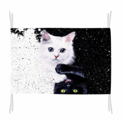 Флаг Yin and Yang cats
