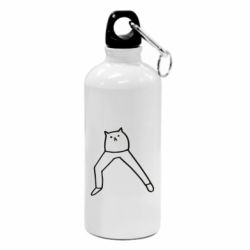Фляга Cat in pants - PrintSalon