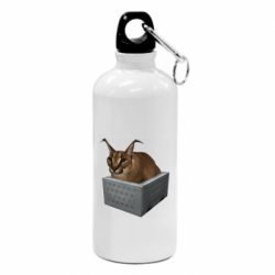 Фляга Шлепа в тазике - PrintSalon