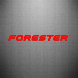Наклейка FORESTER - PrintSalon