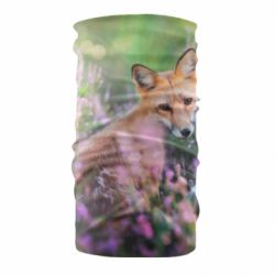 Бандана Fox in the field - PrintSalon