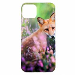 Чохол для iPhone 14 Plus Fox in the field - PrintSalon