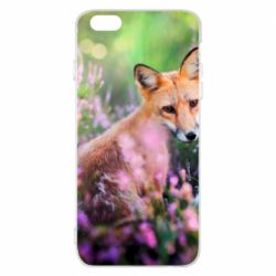 Чохол для iPhone 6 Plus/6S Plus Fox in the field - PrintSalon