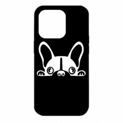 Чехол для iPhone 14 Pro French Bulldog Puppy - PrintSalon