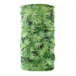 Бандана Ganja - PrintSalon