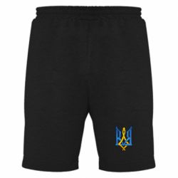 Мужские шорты Герб "Арт"