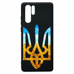 Чохол для Huawei P30 Pro Герб на фоні прапора - PrintSalon