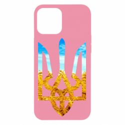 Чохол для iPhone 12 Pro Max Герб на фоні прапора - PrintSalon