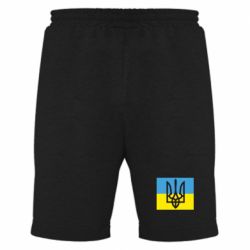 Мужские шорты Герб на прапорі - PrintSalon