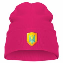 Дитяча шапка Герб на щиті