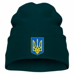 Детская шапка Герб неньки-України - PrintSalon