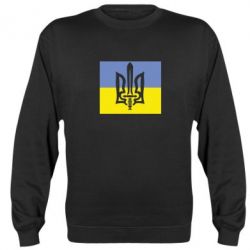 Світшот Герб Правого Сектору