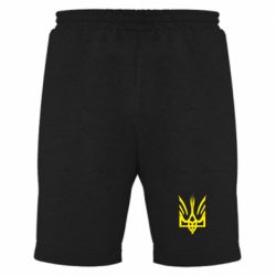 Мужские шорты Герб "Сокіл Рюриковичів"