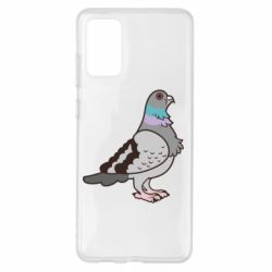 Чехол для Samsung S20+ Голубь - PrintSalon