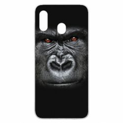 Чохол для Samsung A30 Горила - PrintSalon