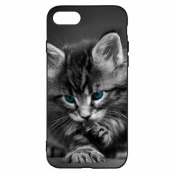 Чохол для iPhone 7 Gray cat - PrintSalon