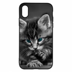 Чохол для iPhone X/Xs Gray cat - PrintSalon