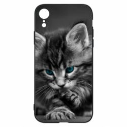 Чохол для iPhone XR Gray cat - PrintSalon
