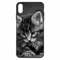 Чохол для iPhone Xs Max Gray cat - PrintSalon