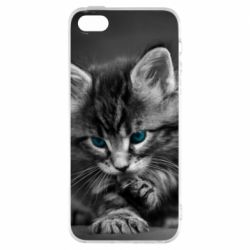 Чохол для iphone 5/5S/SE Gray cat - PrintSalon