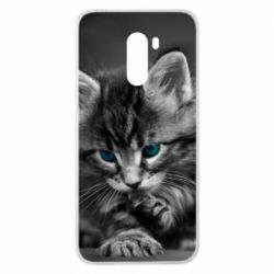 Чохол для Xiaomi Pocophone F1 Gray cat - PrintSalon