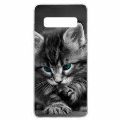 Чохол для Samsung S10+ Gray cat - PrintSalon