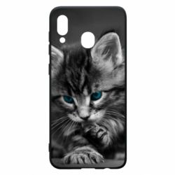 Чохол для Samsung A20 Gray cat - PrintSalon