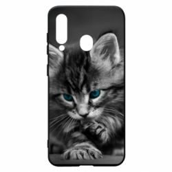 Чохол для Samsung A60 Gray cat - PrintSalon