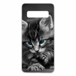 Чохол для Samsung S10 Gray cat - PrintSalon