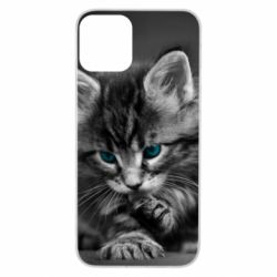 Чохол для iPhone 11 Gray cat - PrintSalon