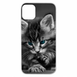 Чохол для iPhone 11 Pro Gray cat - PrintSalon