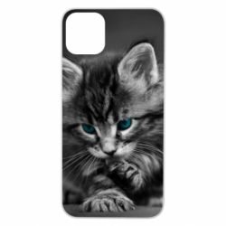 Чохол для iPhone 11 Pro Max Gray cat - PrintSalon