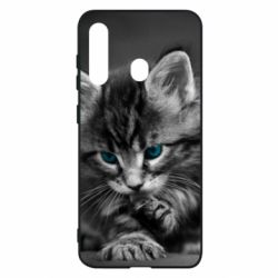 Чохол для Samsung M40 Gray cat - PrintSalon