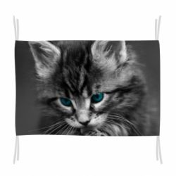Прапор Gray cat - PrintSalon