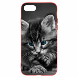 Чохол для iPhone SE 2020 Gray cat - PrintSalon