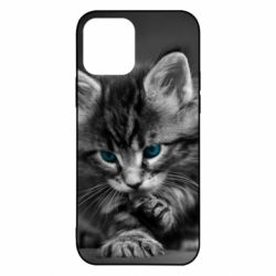 Чохол для iPhone 12 Gray cat - PrintSalon