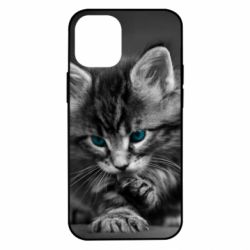 Чохол для iPhone 12 mini Gray cat - PrintSalon