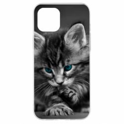 Чохол для iPhone 12 Pro Max Gray cat - PrintSalon