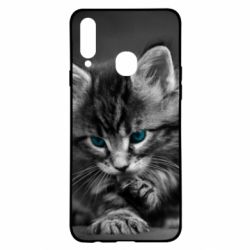 Чохол для Samsung A20s Gray cat - PrintSalon