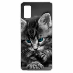 Чохол для Samsung A41 Gray cat - PrintSalon
