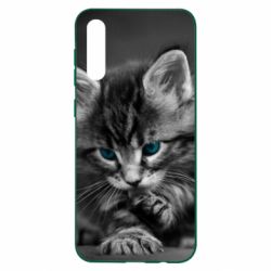 Чохол для Samsung A50 Gray cat - PrintSalon