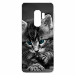 Чохол для Samsung S9+ Gray cat - PrintSalon