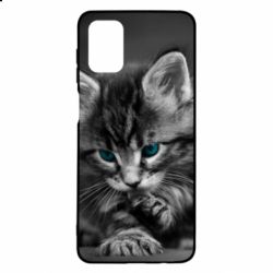 Чохол для Samsung M51 Gray cat - PrintSalon