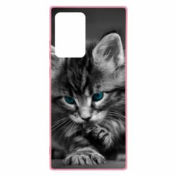 Чохол для Samsung Note 20 Ultra Gray cat - PrintSalon