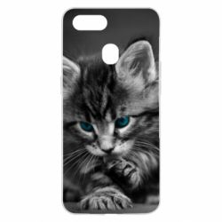 Чохол для Oppo A5s / A12Gray cat - PrintSalon