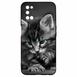 Чохол для Oppo A52 / A72 / A92Gray cat - PrintSalon