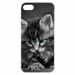 Чохол для iPhone 8 Gray cat - PrintSalon
