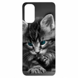 Чохол для Oppo Reno 4Gray cat - PrintSalon